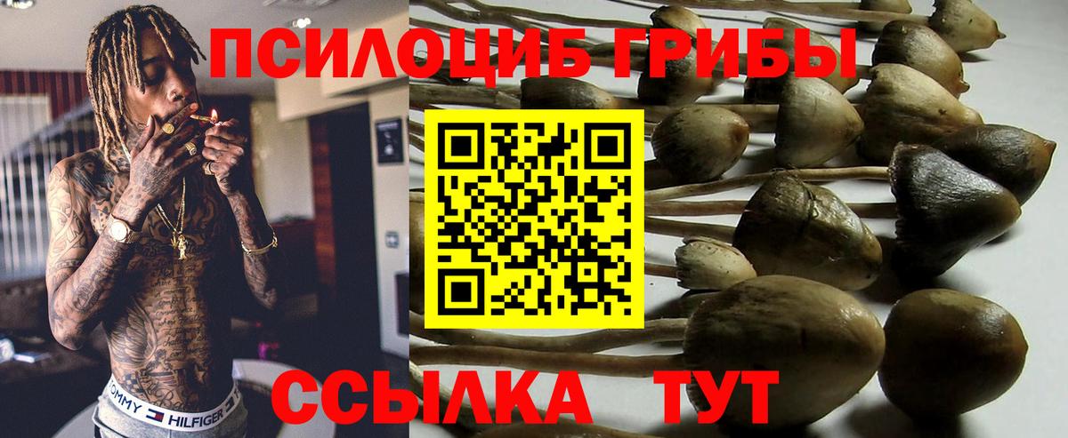 Галлюциногенные грибы мицелий Верхняя Салда