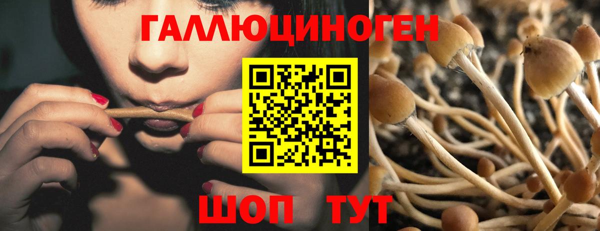 Верхняя Салда  Галлюциногенные грибы Psilocybe  Вход с VPN 
